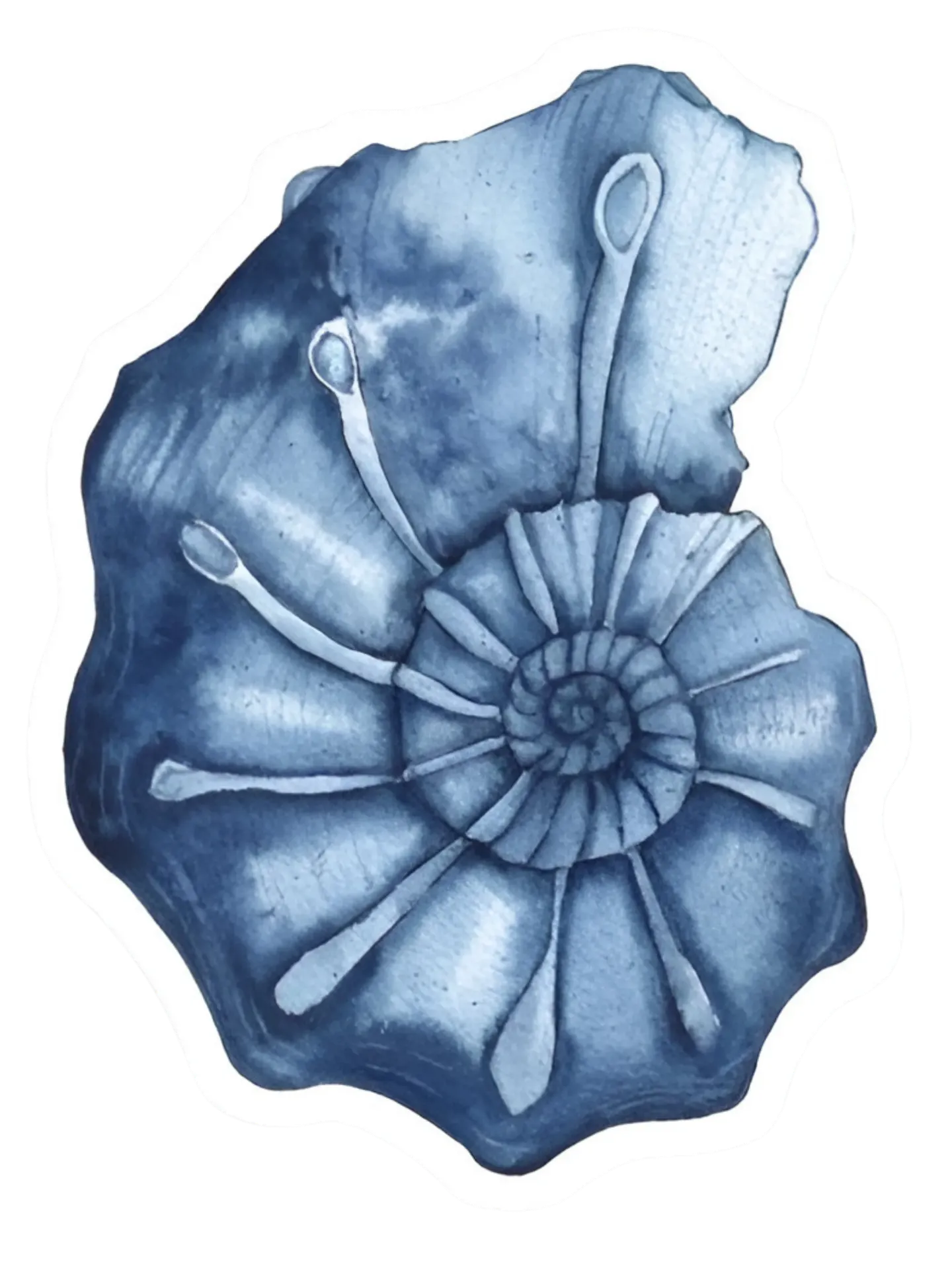 Blue Shell